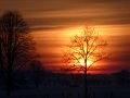 Winter1011 (52)
